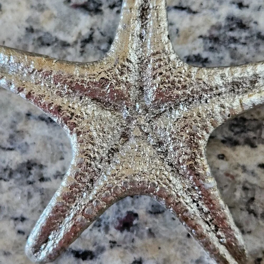 REGINA ANDREW MODERN SILVER STARFISH COASTAL BEACH VASE FILLER HOME TABLE DECOR